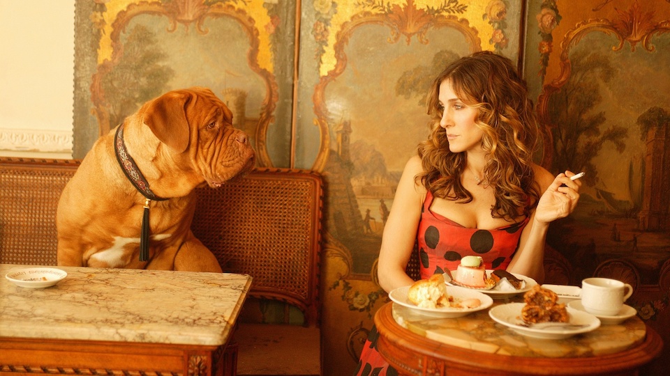 40 First Date Questions That Make You Fall in Love Faster