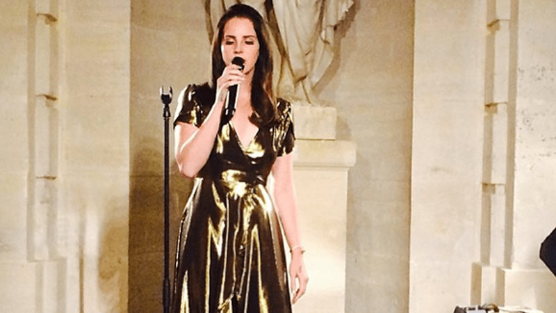 Lana Del Rey Slammed by Beyonce & Cardi B Fans: Slut-Shaming Comments