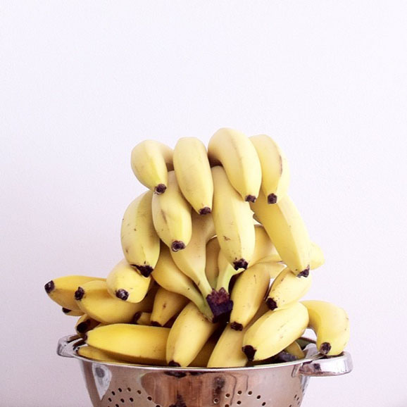 10554178_814356001932171_1522983449_n