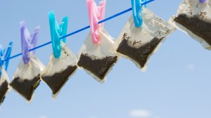 The ICE Mississippi Raid Forced Us All To Pay Attention