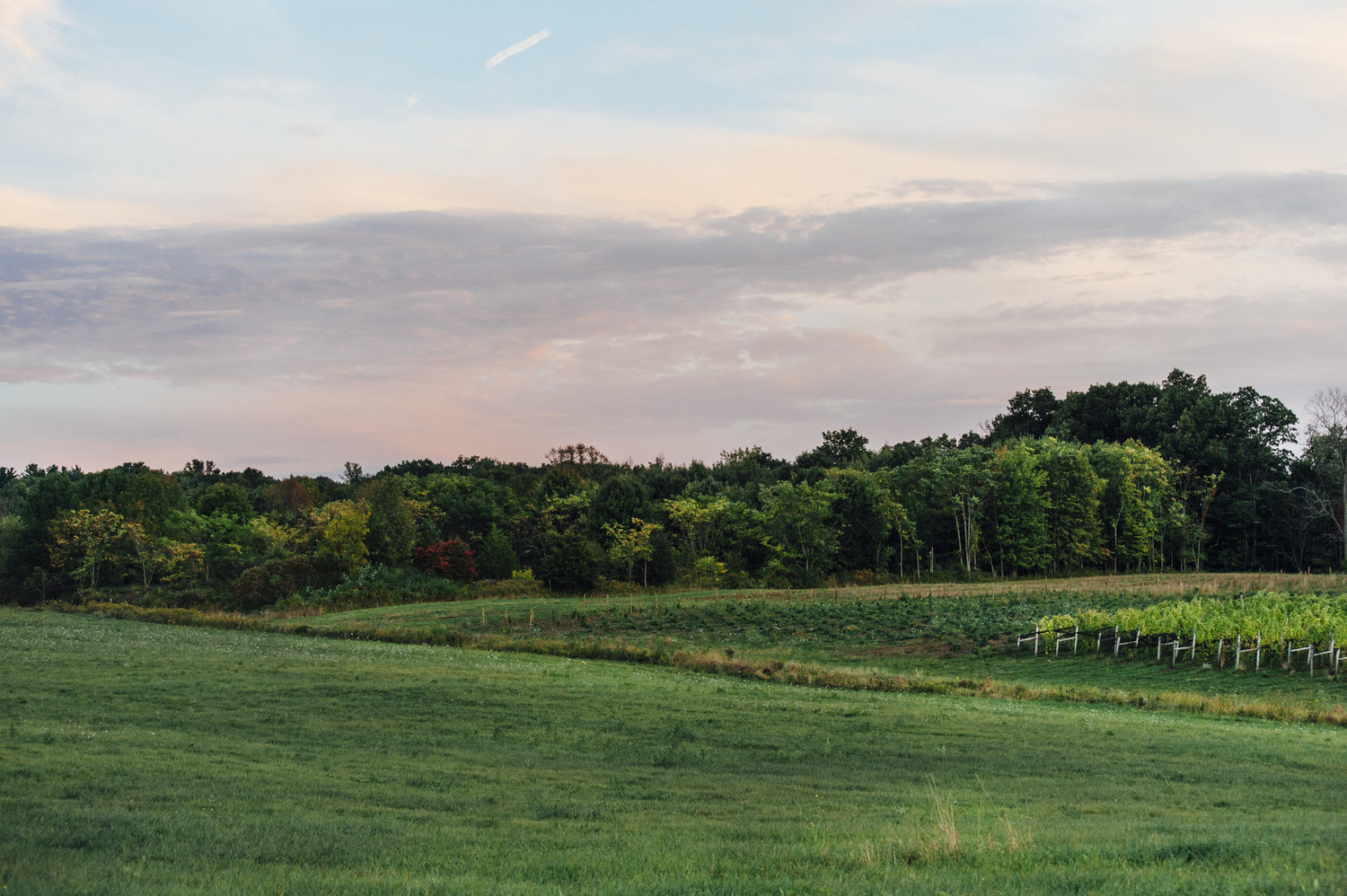 Inside Elsewhere Finger Lakes Guide
