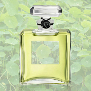 Fair Warning: This $179 Face Powder Is Seriously Habit-Forming