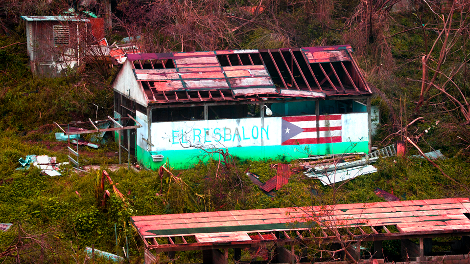 Buy Sassy Lips and Help in PR Hurricane Relief