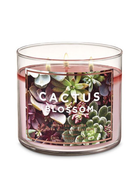 bath-body-works-cactus-blossom
