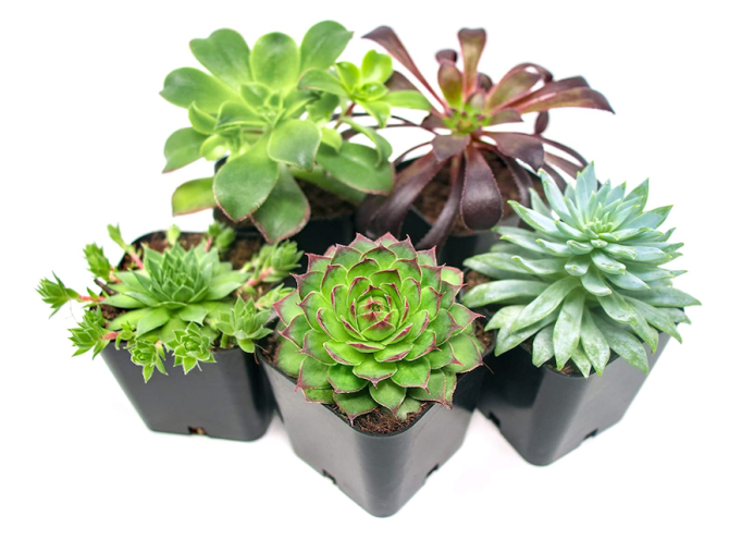 Stylecaster | Home Decor Gifts