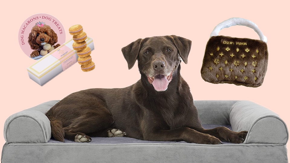 STYLECASTER | Best Gifts for Pet Owners