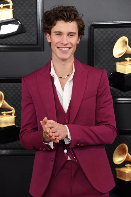 Shawn Mendes Grammys 2020