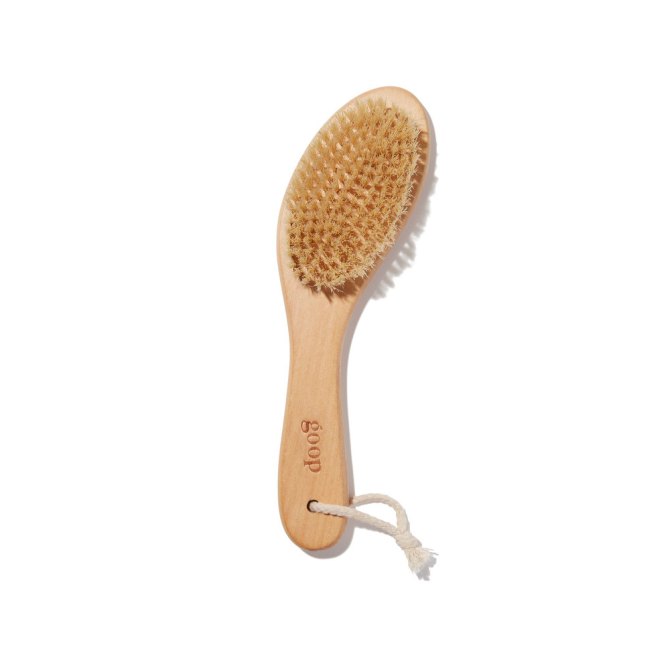 goop dry brush