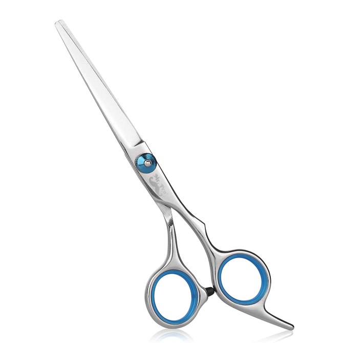 mr pen hair scissors