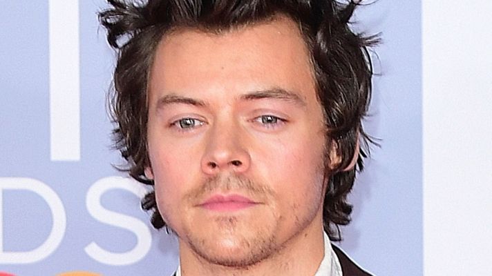 harry styles haircut