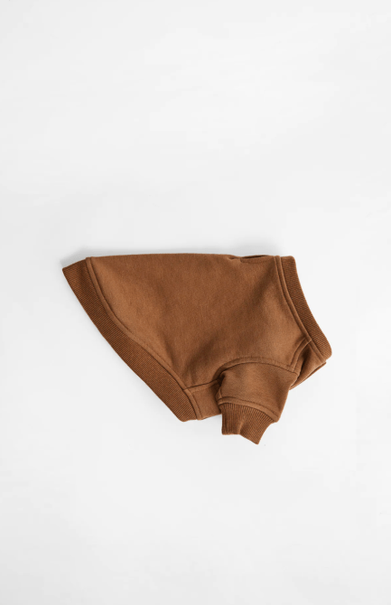 STYLECASTER | Zara Pet Collection