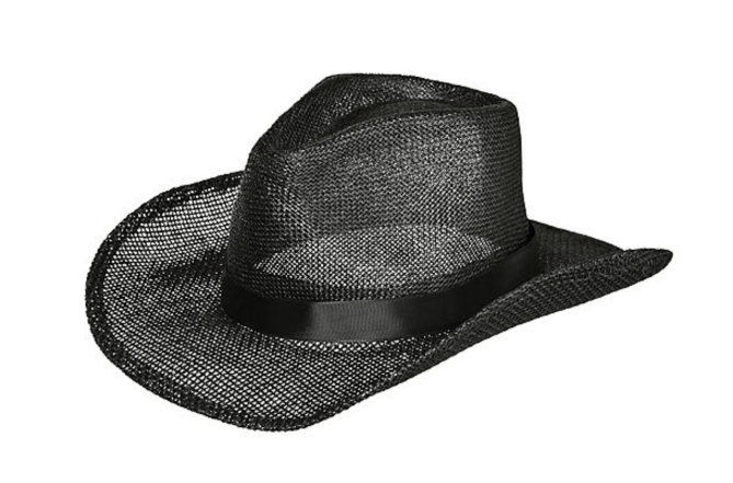STYLECASTER | Party City Cowboy Hat