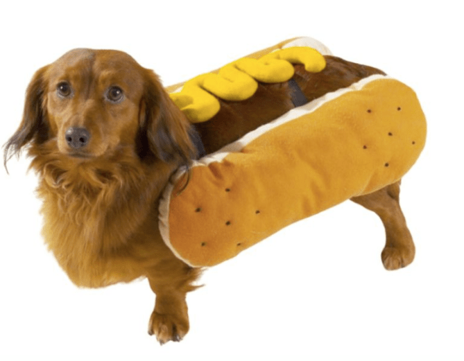 hot dog costume