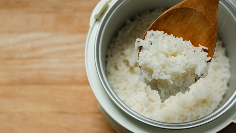 Mini Rice Cooker