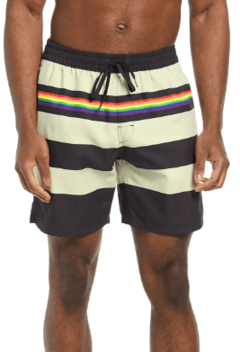 Vans Pride Stripe Shorts