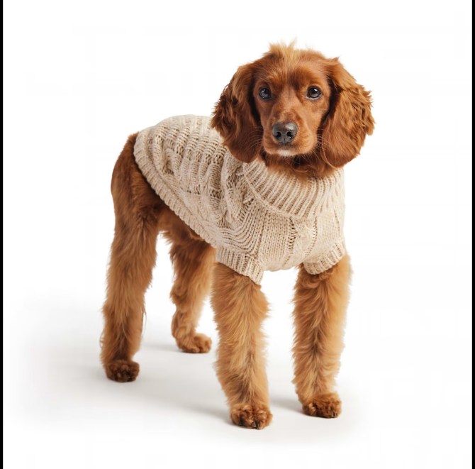 GF Pet Oatmeal Chalet Dog Sweater Petco
