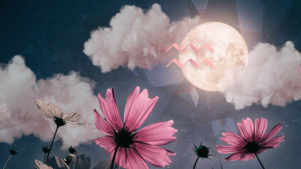 StyleCaster | How the New Moon in Aquarius of February 2024 Will Affect Each Zodiac Sign