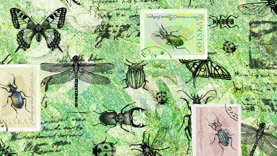 StyleCaster | Zodiac Signs as Insects—Which Bug Are You?