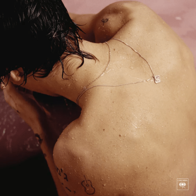 "Harry Styles" by Harry Styles Target Vinyl
