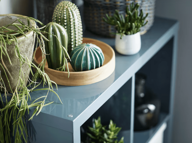 IKEA Cactus Decor