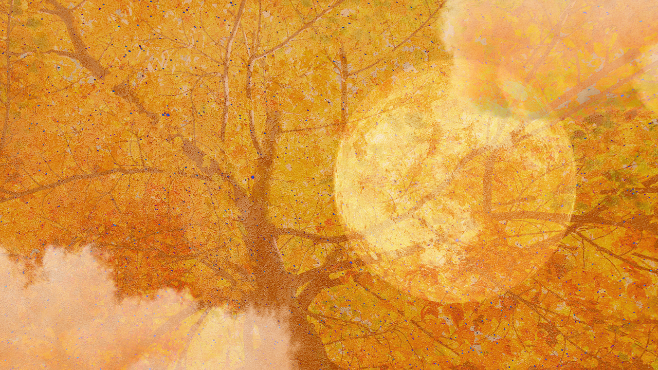 A full moon hanging over an autumn tree with orange leaves