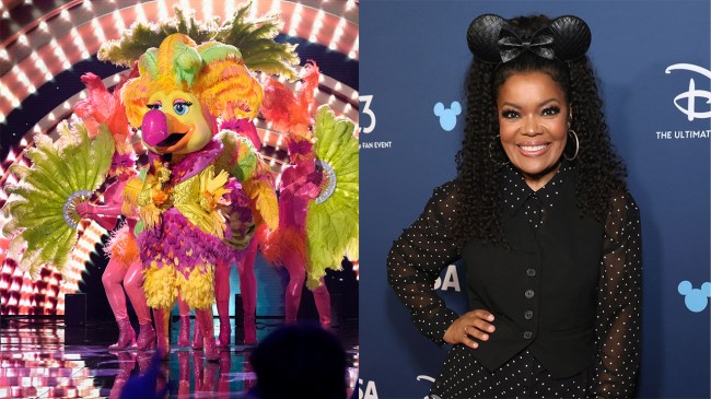 Showbird The Masked Singer / Yvette Nicole Brown