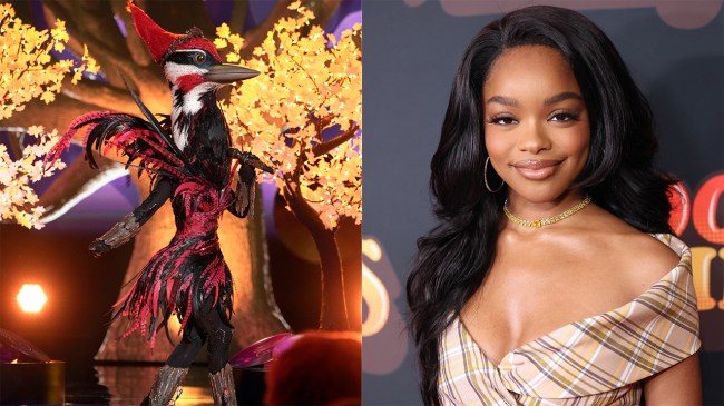 Woodpecker on the Masked Singer / Marsai MArtin