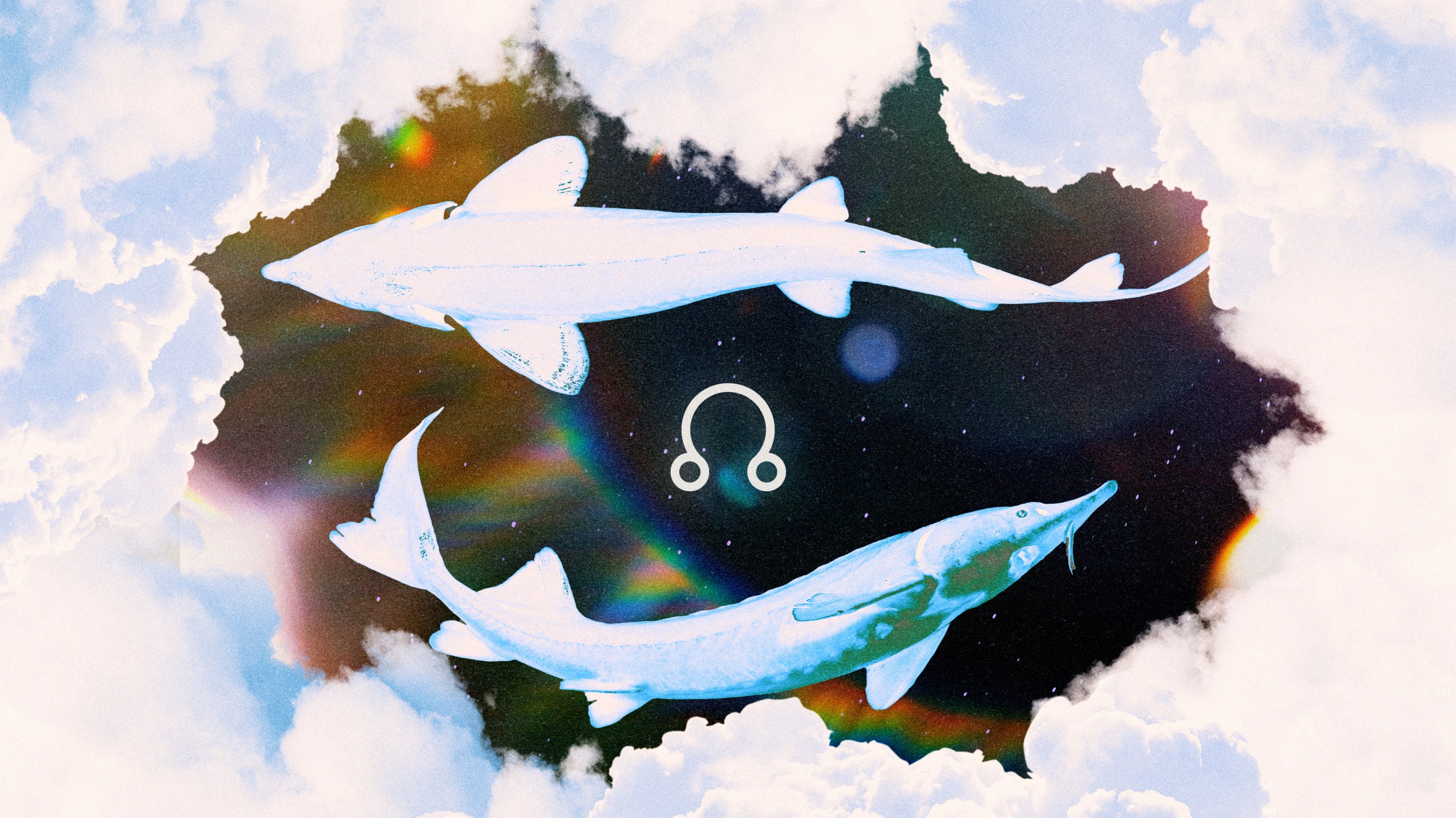 Two sharks swirling around each other over a colorful cosmic sky