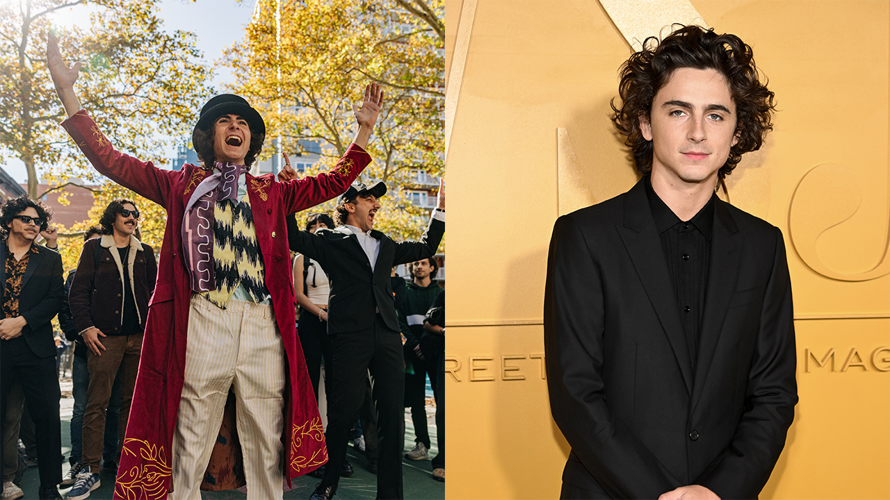 Timothée Chalamet lookalike Contest