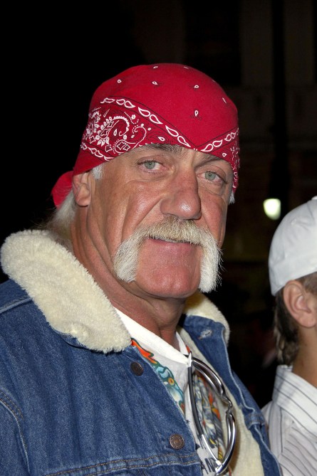 Hulk Hogan