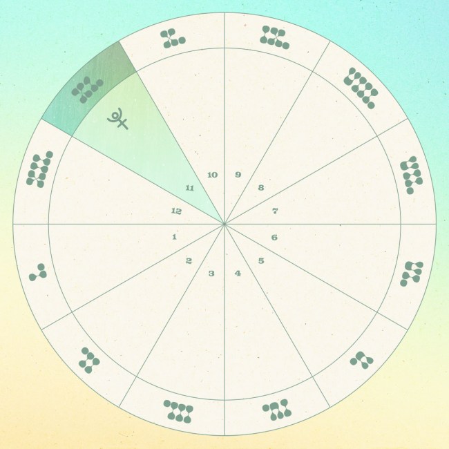 Pluto in the 11th house