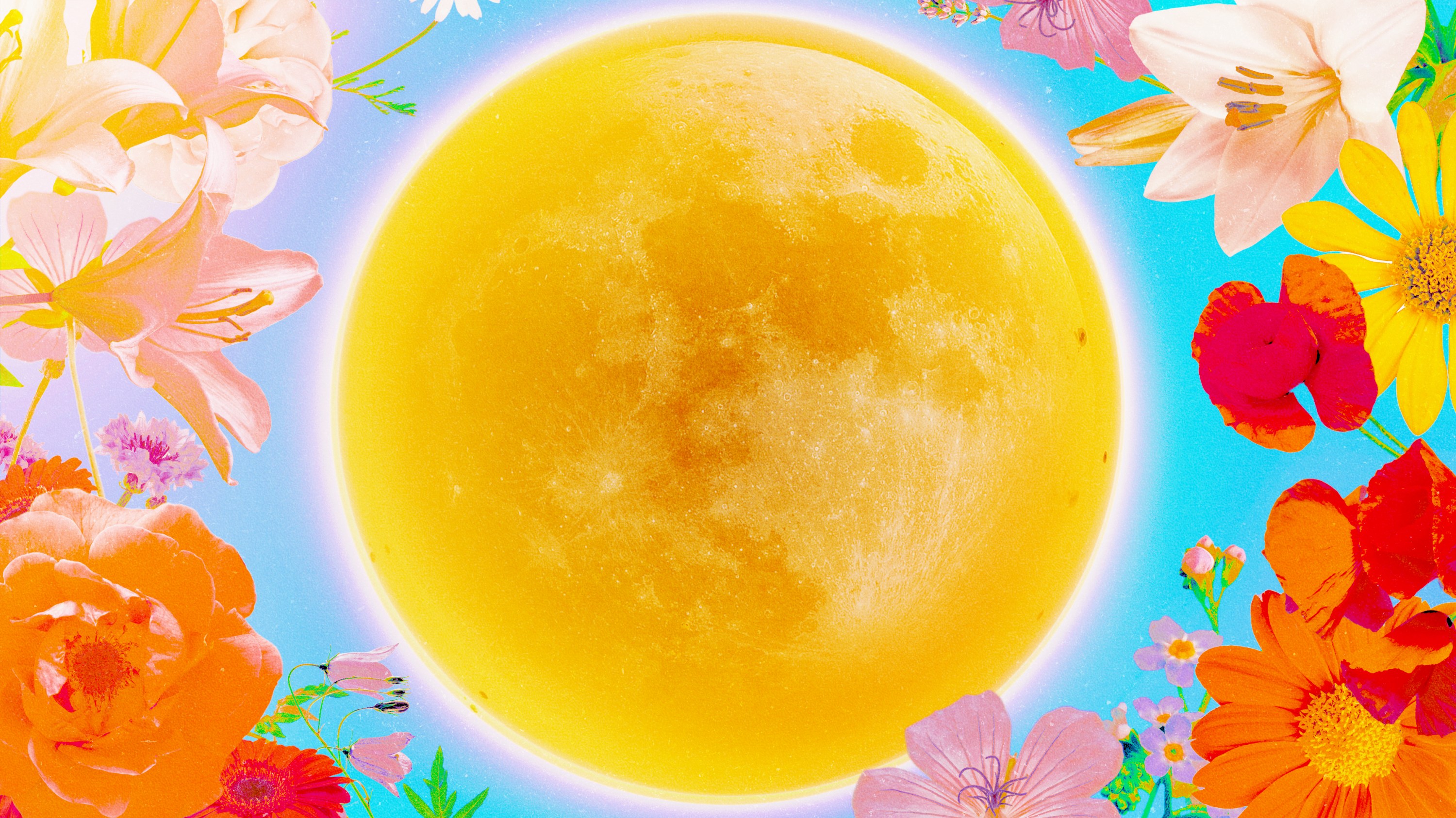 A full moon in the color of the sun, surrounded by flowers and blue skies for summer