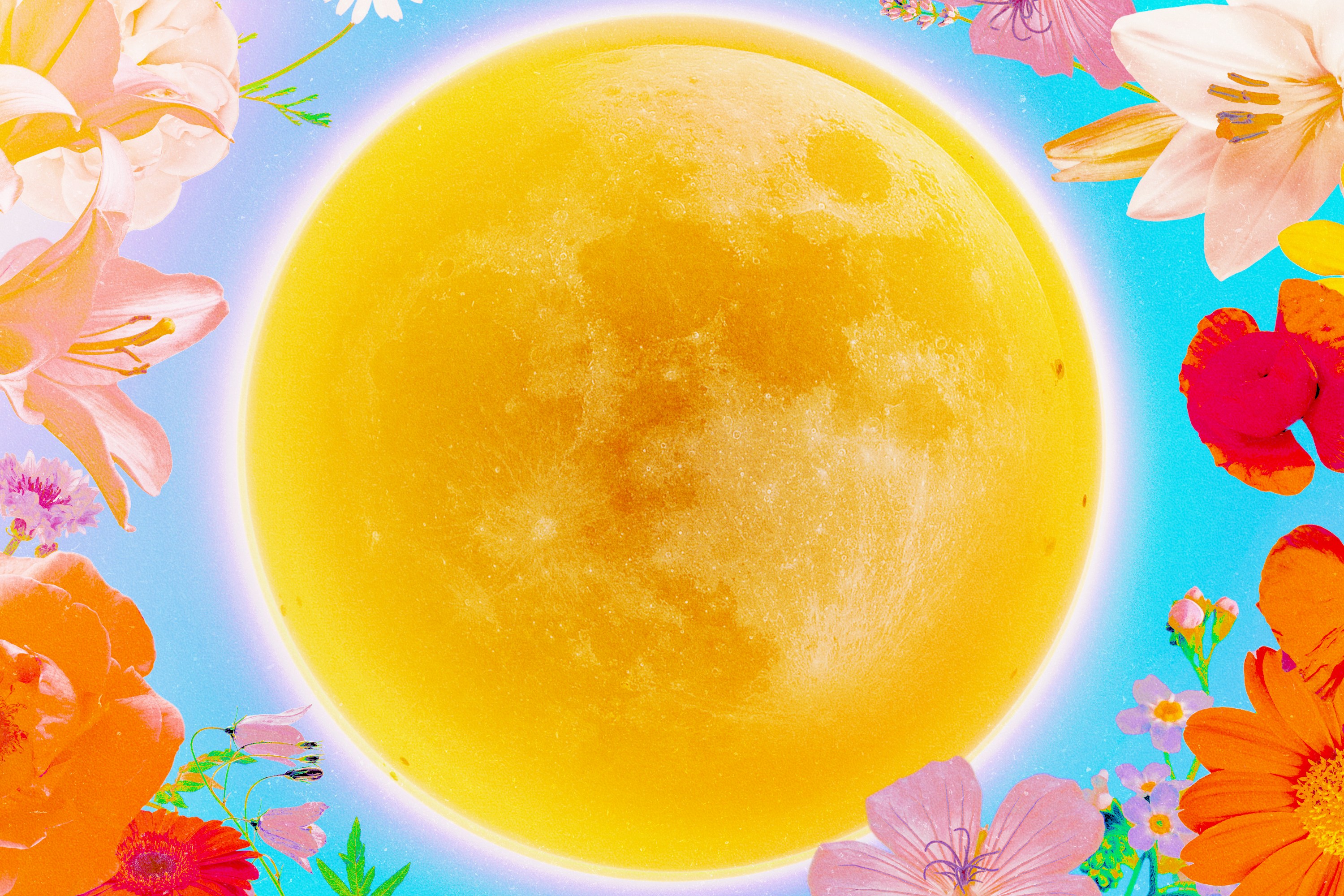 A full moon in the color of the sun, surrounded by flowers and blue skies for summer