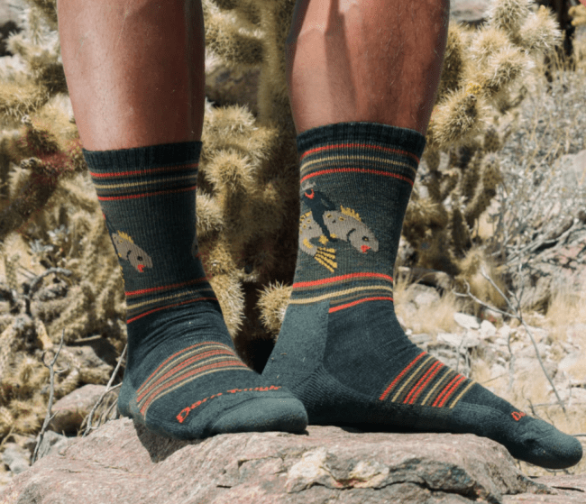 Darn Tough Vermont Willoughby Micro Crew Lightweight Hiking Sock