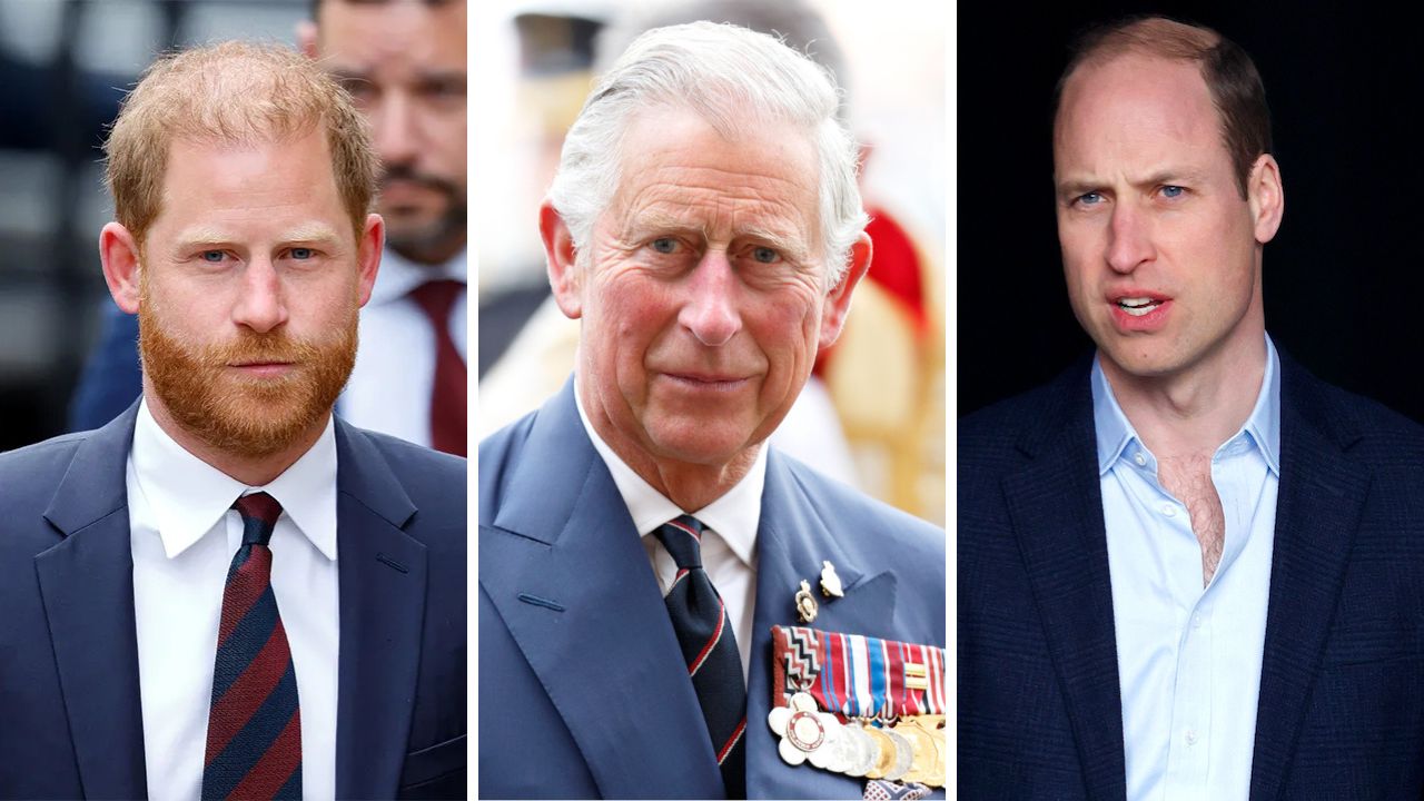 Prince Harry, Prince William, King Charles