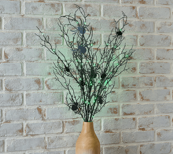 Best QVC Halloween Decorations in 2025